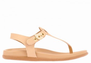 Ancient Greek Sandals Alki Flip Flop Donna Sandali Con Cinturino Sul Retro Beige | FUY7430QW