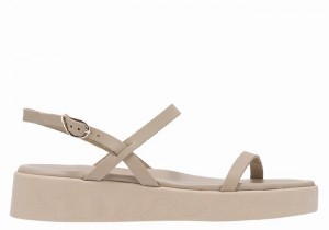 Ancient Greek Sandals Evriali Leather Donna Sandali con Plateau Grigie Marroni | YKL9476CN