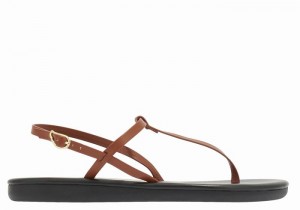 Ancient Greek Sandals Lito Flip Flop Donna Sandali Con Cinturino Sul Retro Marroni Scuro | KBV3359PL