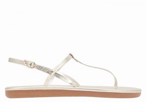 Ancient Greek Sandals Lito Flip Flop Donna Sandali Con Cinturino Sul Retro Oro Bianche | IRZ678VA