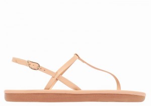 Ancient Greek Sandals Lito Flip Flop Donna Sandali Con Cinturino Sul Retro Beige | CFN2275UR