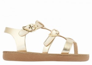 Ancient Greek Sandals Little Grace Kelly Soft Bambino Sandali Bassi Oro Bianche | LOI3144GN