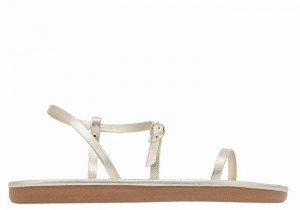 Ancient Greek Sandals Niove Donna Sandali Con Cinturino Sul Retro Oro Bianche | DHR7186ZP