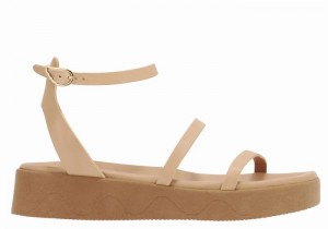 Ancient Greek Sandals Nissida Leather Donna Sandali con Plateau Beige | RMS1750BM