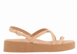 Ancient Greek Sandals Silia Leather Donna Sandali con Plateau Beige | JJY4614US