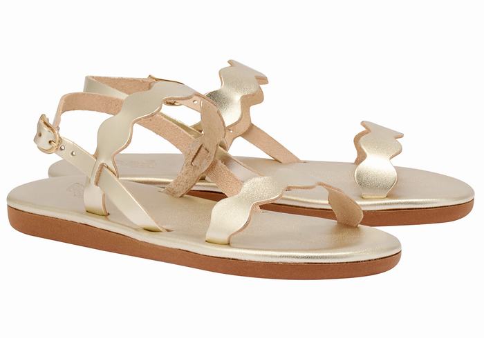 Ancient Greek Sandals Afros Donna Sandali Con Cinturino Sul Retro Oro Bianche | TER5255FV