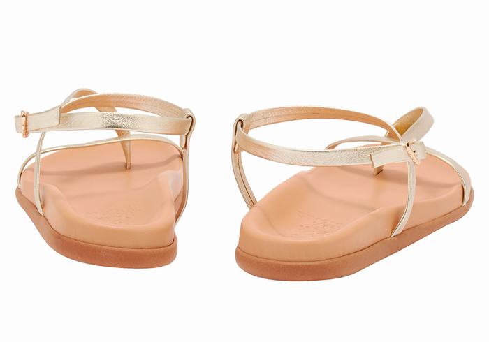 Ancient Greek Sandals Aimilia Donna Sandali Con Cinturino Sul Retro Oro Bianche | HKR6446EG