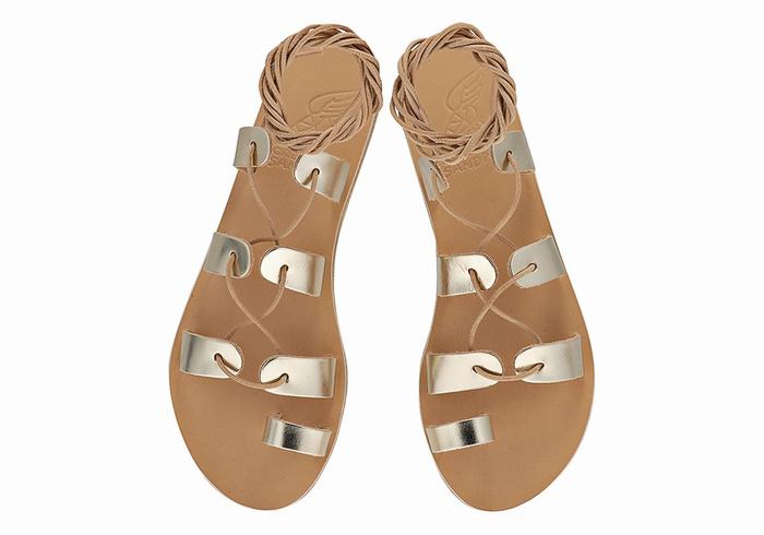 Ancient Greek Sandals Alcyone Leather Donna Sandali Da Gladiatore Oro Bianche | IWL8689BO