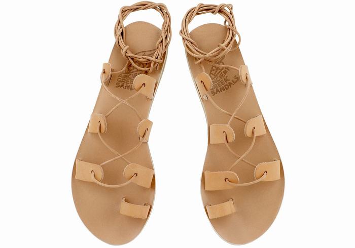 Ancient Greek Sandals Alcyone Leather Donna Sandali Da Gladiatore Beige | EVC9691VS