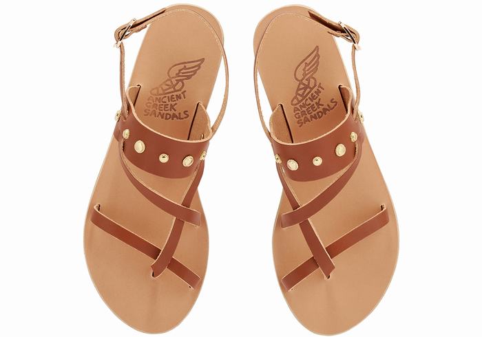 Ancient Greek Sandals Alethea Bee Donna Sandali Con Cinturino Sul Retro Marroni Scuro | XEK7974DE