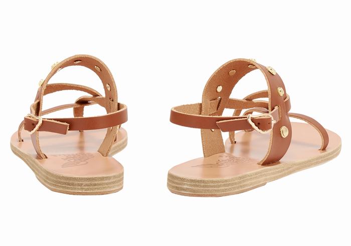 Ancient Greek Sandals Alethea Bee Donna Sandali Con Cinturino Sul Retro Marroni Scuro | XEK7974DE