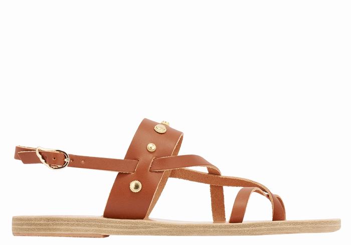 Ancient Greek Sandals Alethea Bee Donna Sandali Con Cinturino Sul Retro Marroni Scuro | XEK7974DE