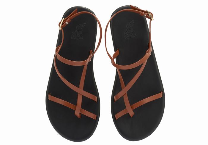 Ancient Greek Sandals Alethea Donna Sandali Con Cinturino Sul Retro Marroni Scuro | ZYB18100QA