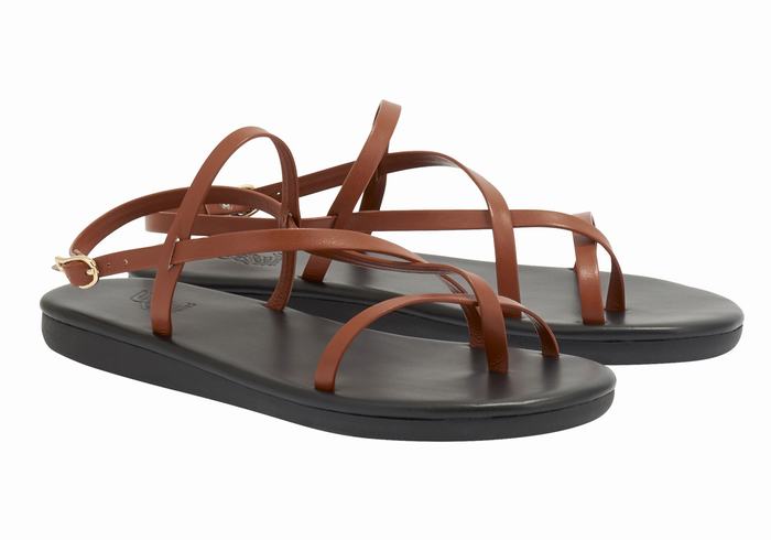 Ancient Greek Sandals Alethea Donna Sandali Con Cinturino Sul Retro Marroni Scuro | ZYB18100QA