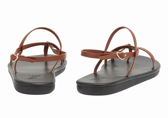 Ancient Greek Sandals Alethea Donna Sandali Con Cinturino Sul Retro Marroni Scuro | ZYB18100QA