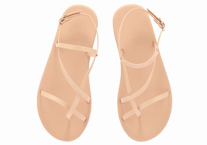 Ancient Greek Sandals Alethea Donna Sandali Con Cinturino Sul Retro Beige | BKG9772PJ