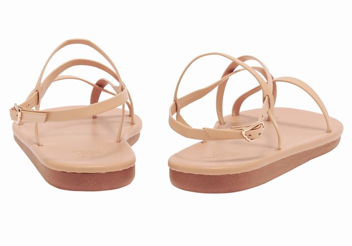 Ancient Greek Sandals Alethea Donna Sandali Con Cinturino Sul Retro Beige | BKG9772PJ