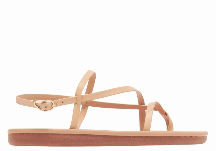 Ancient Greek Sandals Alethea Donna Sandali Con Cinturino Sul Retro Beige | BKG9772PJ