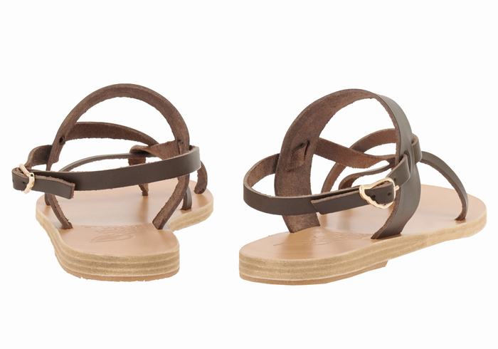 Ancient Greek Sandals Alethea Donna Sandali Con Cinturino Sul Retro Cioccolato | EVI2161PT