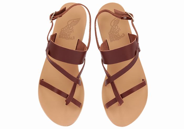 Ancient Greek Sandals Alethea Leather Donna Sandali Con Cinturino Sul Retro Caffè | DOZ874LS