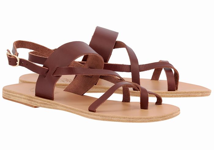 Ancient Greek Sandals Alethea Leather Donna Sandali Con Cinturino Sul Retro Caffè | DOZ874LS