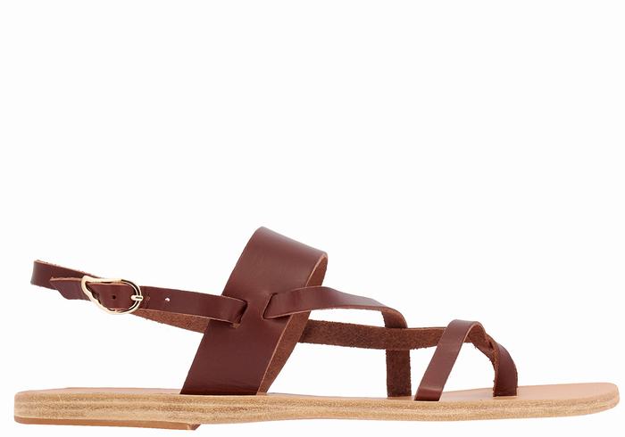 Ancient Greek Sandals Alethea Leather Donna Sandali Con Cinturino Sul Retro Caffè | DOZ874LS