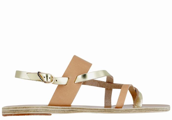 Ancient Greek Sandals Alethea Leather Donna Sandali Con Cinturino Sul Retro Beige Oro Bianche | NNW2890UF