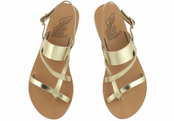 Ancient Greek Sandals Alethea Leather Donna Sandali Con Cinturino Sul Retro Oro Bianche | CYW4383NK