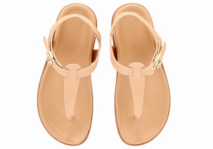 Ancient Greek Sandals Alki Flip Flop Donna Sandali Con Cinturino Sul Retro Beige | FUY7430QW