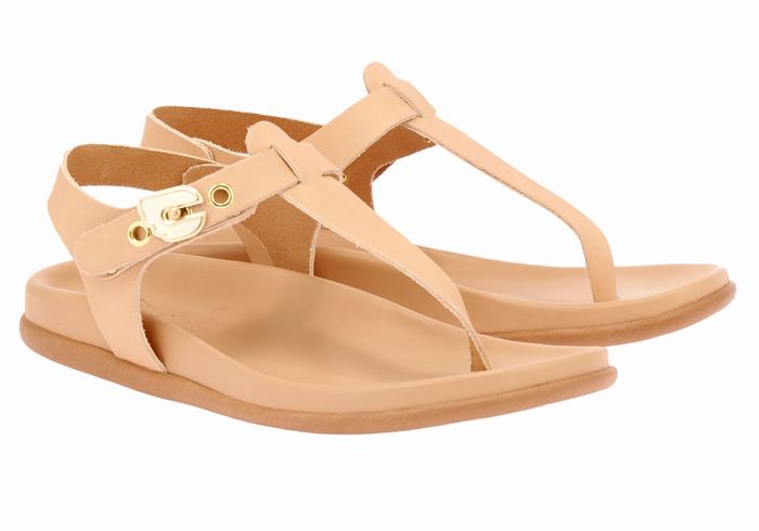 Ancient Greek Sandals Alki Flip Flop Donna Sandali Con Cinturino Sul Retro Beige | FUY7430QW