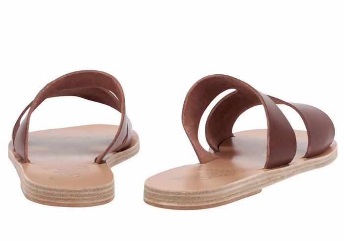 Ancient Greek Sandals Apteros Donna Sandali Scorrevoli Caffè | EGJ4117YK