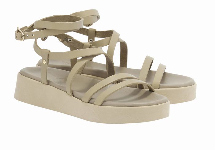 Ancient Greek Sandals Aristea Leather Donna Sandali con Plateau Grigie Marroni | LVM4795ET