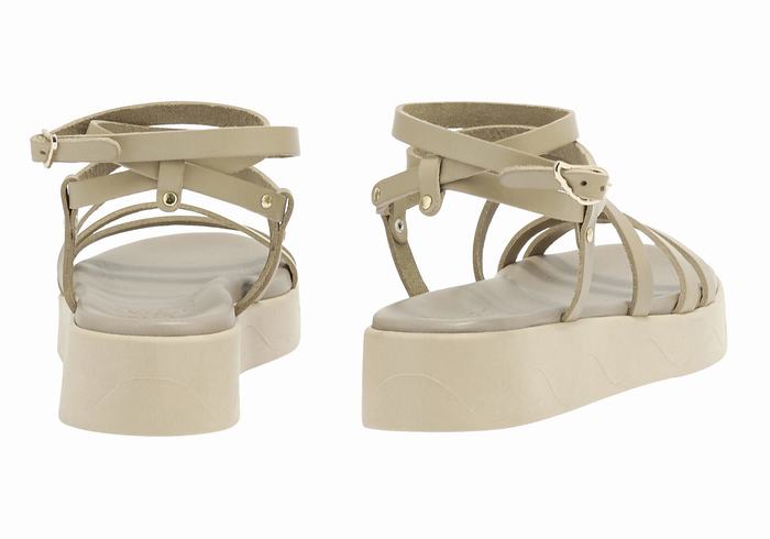 Ancient Greek Sandals Aristea Leather Donna Sandali con Plateau Grigie Marroni | LVM4795ET