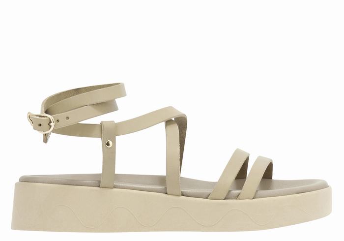 Ancient Greek Sandals Aristea Leather Donna Sandali con Plateau Grigie Marroni | LVM4795ET