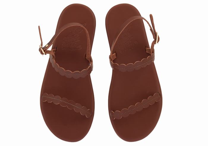 Ancient Greek Sandals Aroula Donna Sandali Con Cinturino Sul Retro Caffè | AWL758QG