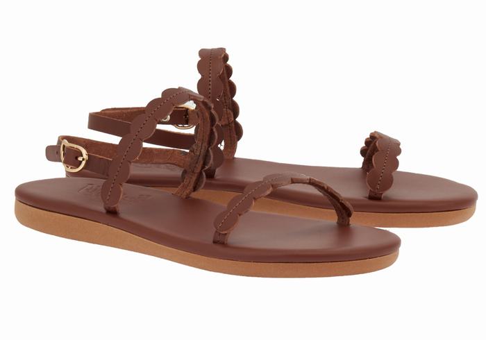 Ancient Greek Sandals Aroula Donna Sandali Con Cinturino Sul Retro Caffè | AWL758QG