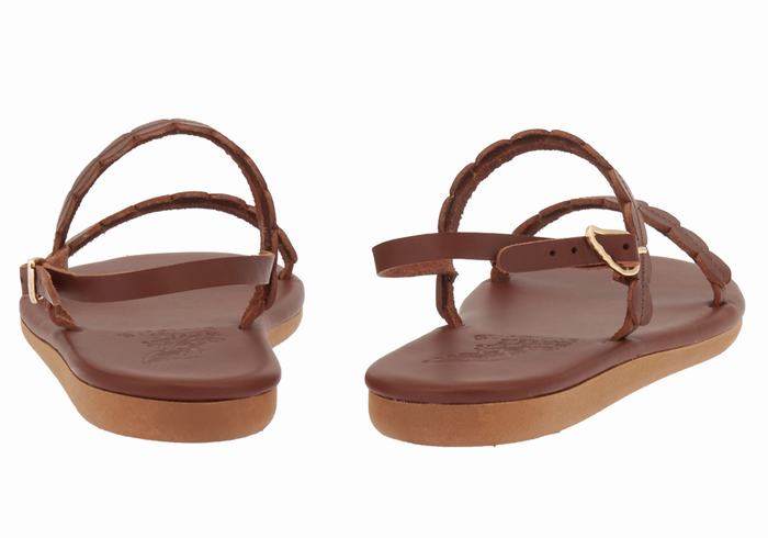 Ancient Greek Sandals Aroula Donna Sandali Con Cinturino Sul Retro Caffè | AWL758QG