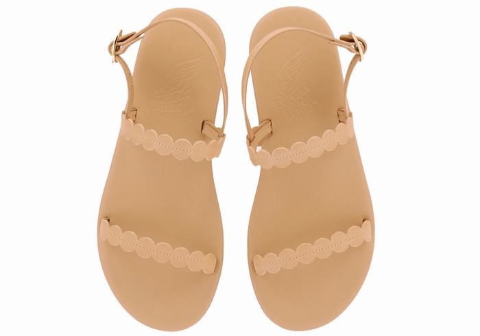 Ancient Greek Sandals Aroula Donna Sandali Con Cinturino Sul Retro Beige | CER668WJ