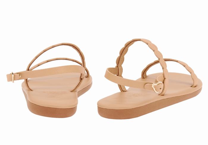 Ancient Greek Sandals Aroula Donna Sandali Con Cinturino Sul Retro Beige | CER668WJ