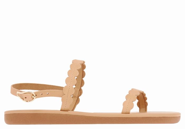 Ancient Greek Sandals Aroula Donna Sandali Con Cinturino Sul Retro Beige | CER668WJ