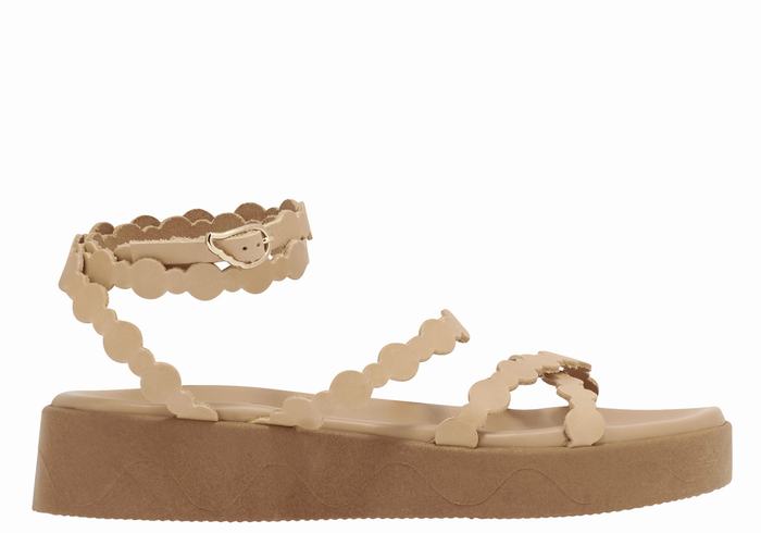 Ancient Greek Sandals Aspis Leather Donna Sandali con Plateau Beige | UXO2634AK