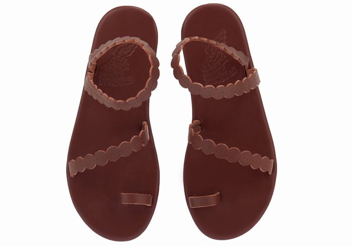 Ancient Greek Sandals Aura Donna Sandali Con Puntale Caffè | JJV698DH