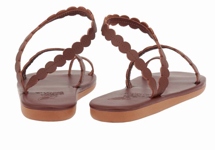 Ancient Greek Sandals Aura Donna Sandali Con Puntale Caffè | JJV698DH