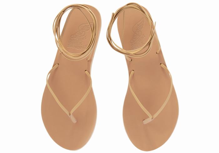 Ancient Greek Sandals Celia Donna Sandali Da Gladiatore Beige | SDR4141WN