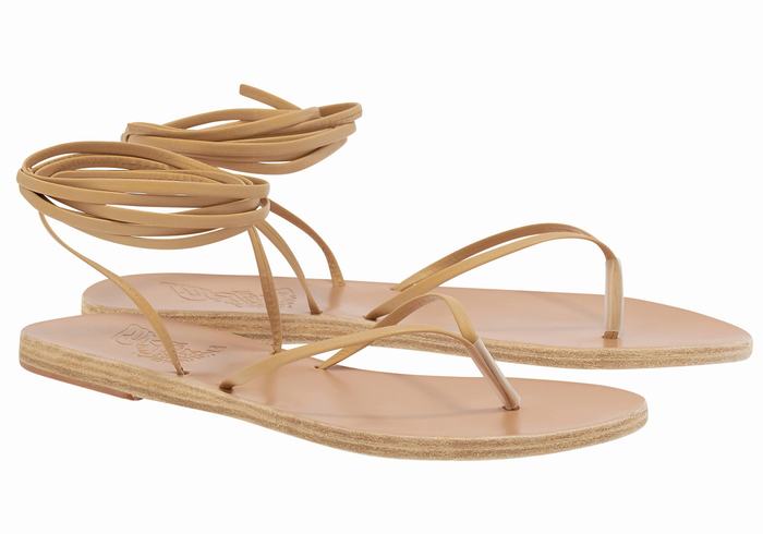 Ancient Greek Sandals Celia Donna Sandali Da Gladiatore Beige | SDR4141WN