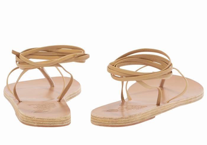 Ancient Greek Sandals Celia Donna Sandali Da Gladiatore Beige | SDR4141WN