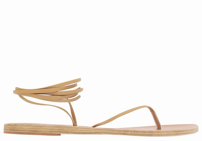 Ancient Greek Sandals Celia Donna Sandali Da Gladiatore Beige | SDR4141WN