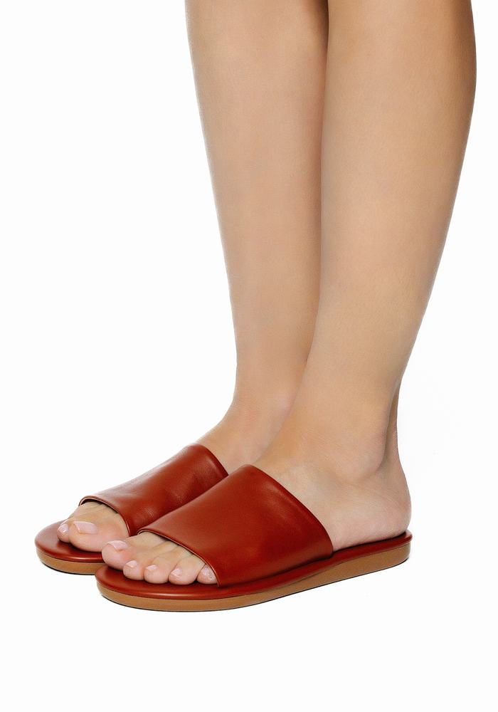 Ancient Greek Sandals Cerastes Donna Sandali Scorrevoli Marroni Scuro | ZAB3853LA