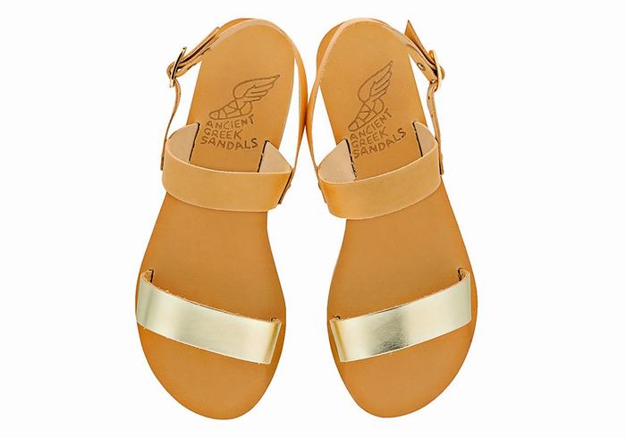 Ancient Greek Sandals Clio Donna Sandali Con Cinturino Sul Retro Beige Oro Bianche | CEL2622MH