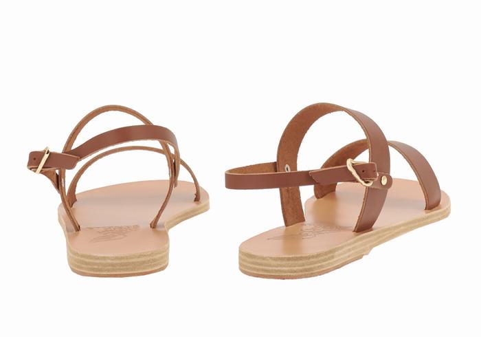 Ancient Greek Sandals Clio Donna Sandali Con Cinturino Sul Retro Marroni Scuro | XZG2277NS